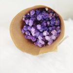 Gipsówka stabilizowana wiecznie żywa fioletowa mały bukiet