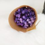 Gipsówka stabilizowana wiecznie żywa fioletowa mały bukiet