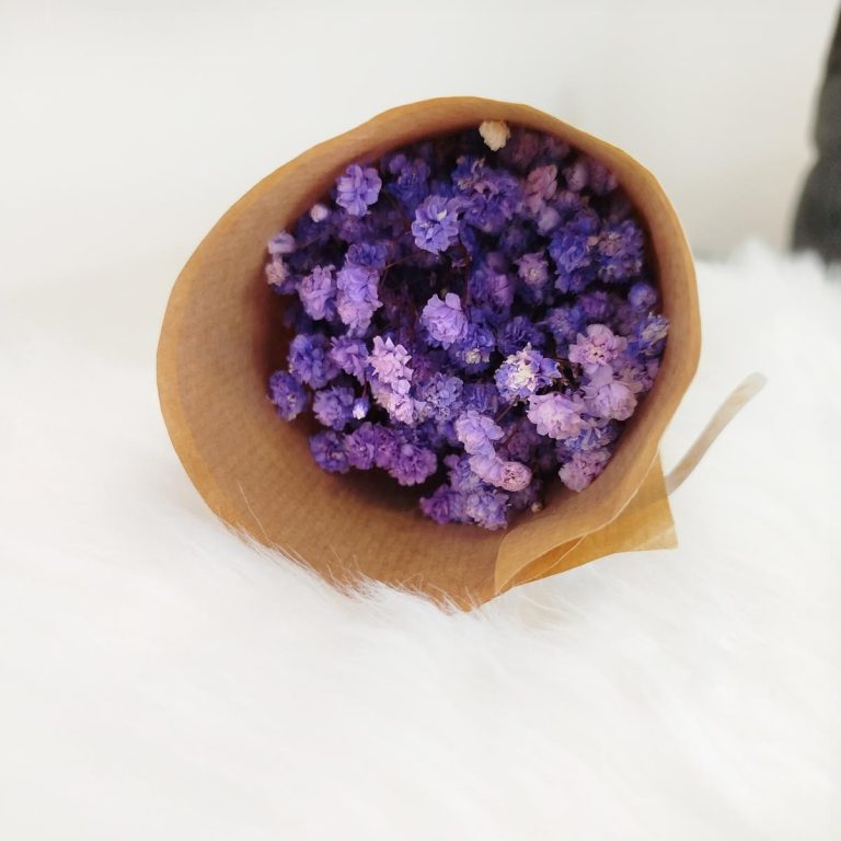 Gipsówka stabilizowana wiecznie żywa fioletowa mały bukiet