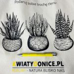 Elegancki długopis z klipsem