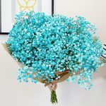 Gipsówka żywa gotowy bukiet niebieski duży