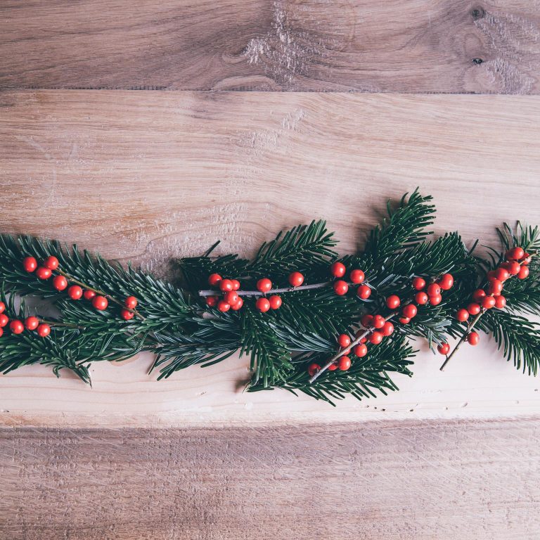 Ostrokrzew czerwony - Ilex żywa gałązka (Ilex Ve Rode Bes) 60cm 1szt.