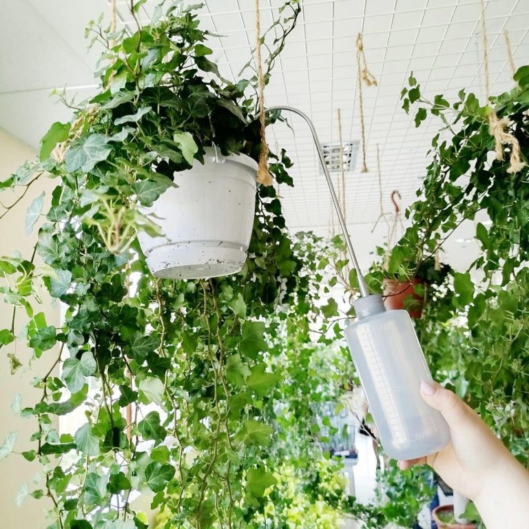 Konewka plastikowa do podlewania roślin na wysokości 0,5l