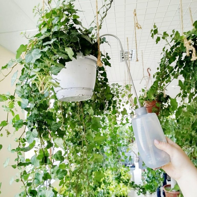 Konewka plastikowa do podlewania roślin na wysokości 0,5l