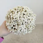 Gipsówka stabilizowana wiecznie żywa flower box w ceramicznej doniczce