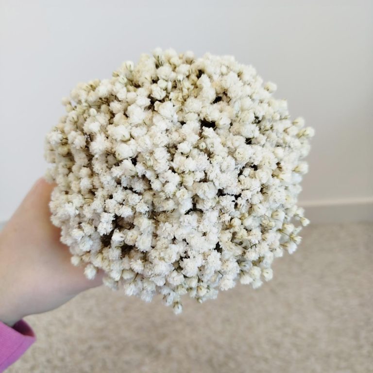 Gipsówka stabilizowana wiecznie żywa flower box w ceramicznej doniczce