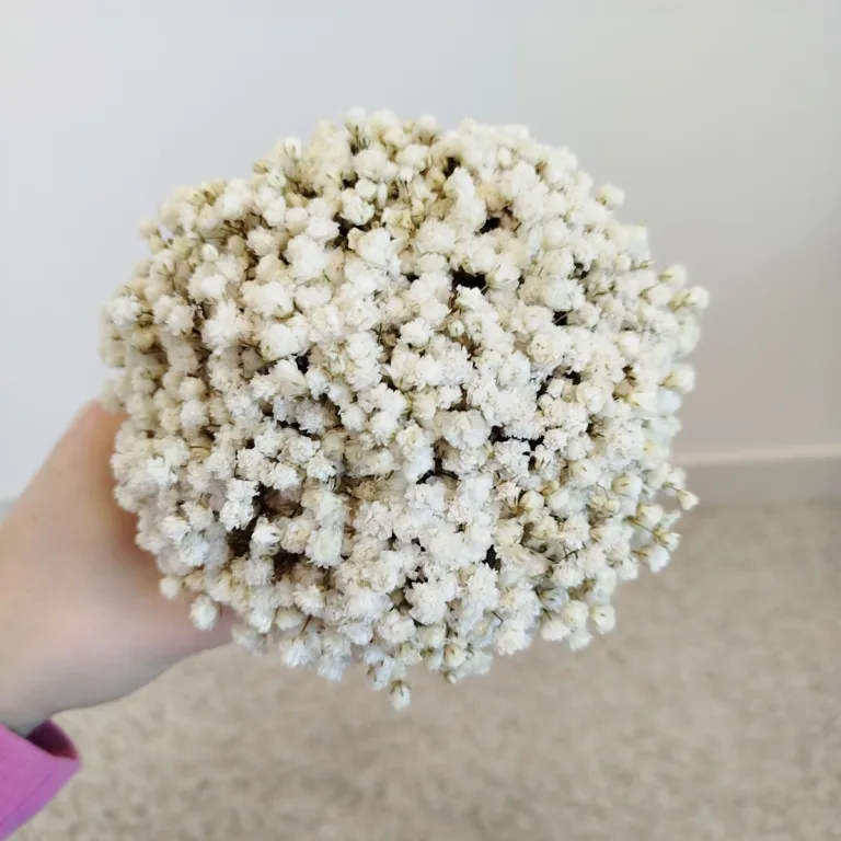 Gipsówka stabilizowana wiecznie żywa flower box w ceramicznej doniczce