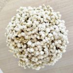 Gipsówka stabilizowana wiecznie żywa flower box w ceramicznej doniczce