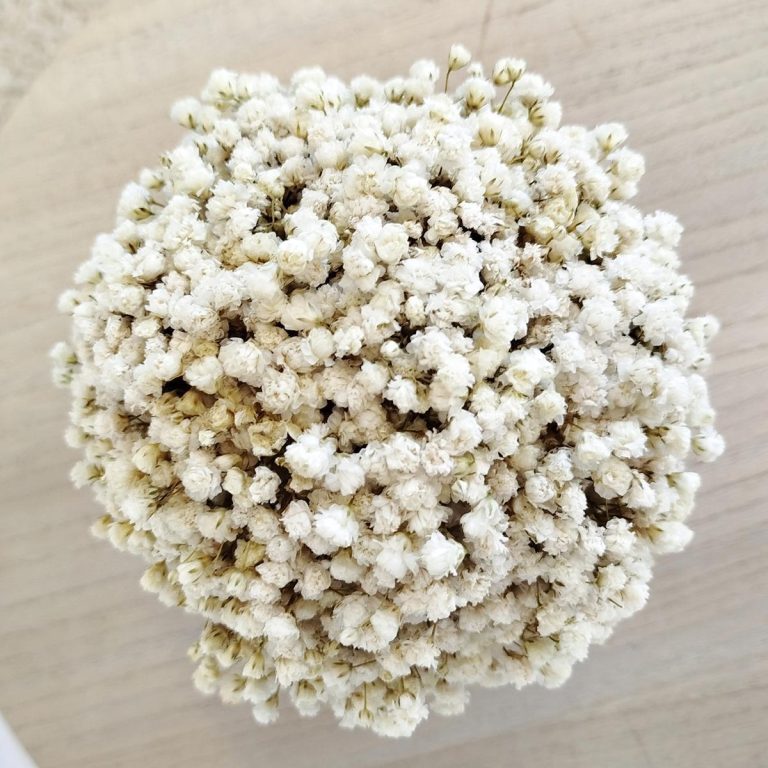 Gipsówka stabilizowana wiecznie żywa flower box w ceramicznej doniczce