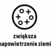 Dodatek do ziemi Lawa wulkaniczna 5l