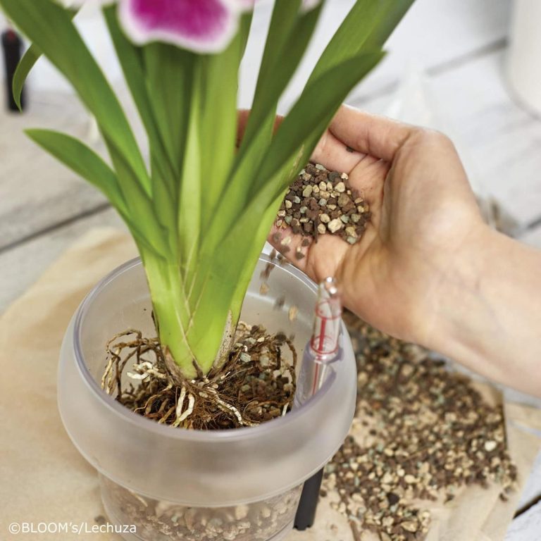 Lechuza  Orchid PON podłoże do storczyków 6L