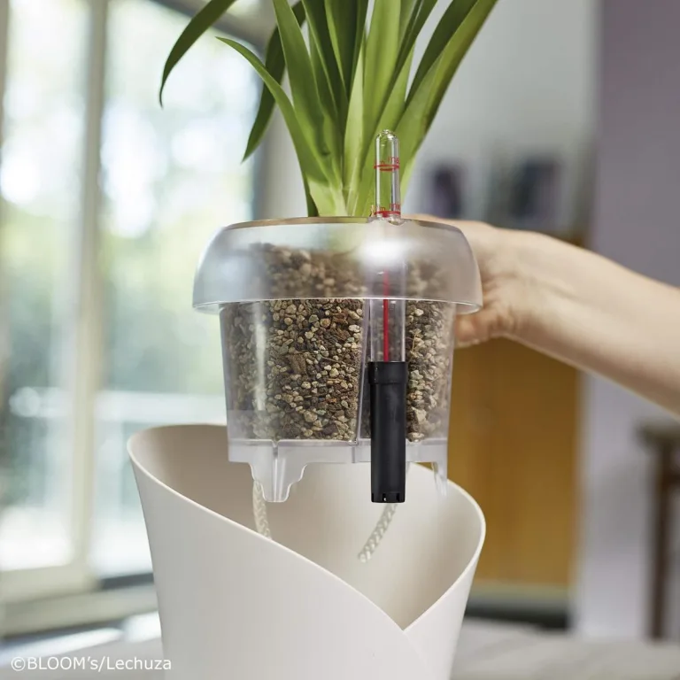 Lechuza  Orchid PON podłoże do storczyków 3L