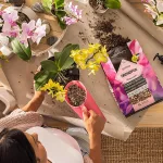 Lechuza  Orchid PON podłoże do storczyków 3L