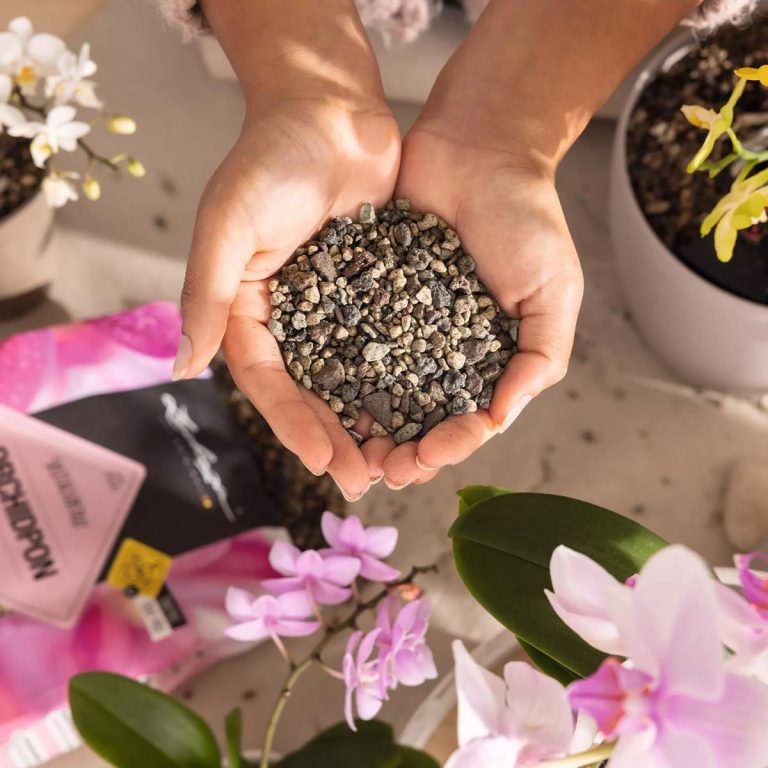 Lechuza  Orchid PON podłoże do storczyków 6L