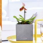 Biohumus nawóz do storczyków 1L