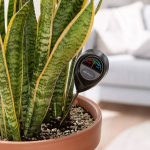 Miernik wilgotności gleby wilgotnościomierz Lechuza