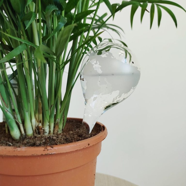 Nawadniacz do roślin szklana kula