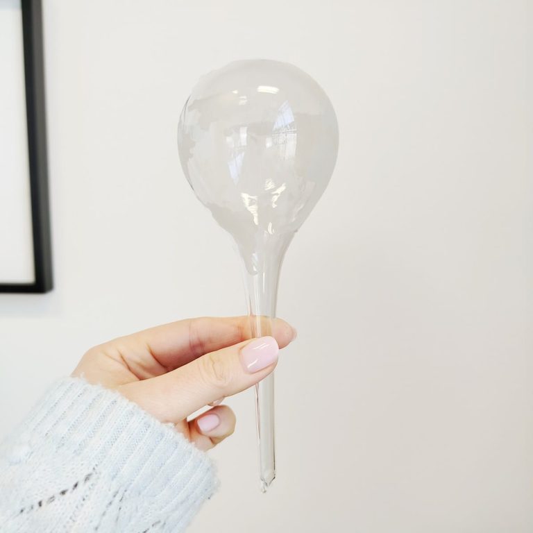 Nawadniacz do roślin szklana kula