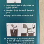 Nawadniacz do roślin szklana kula