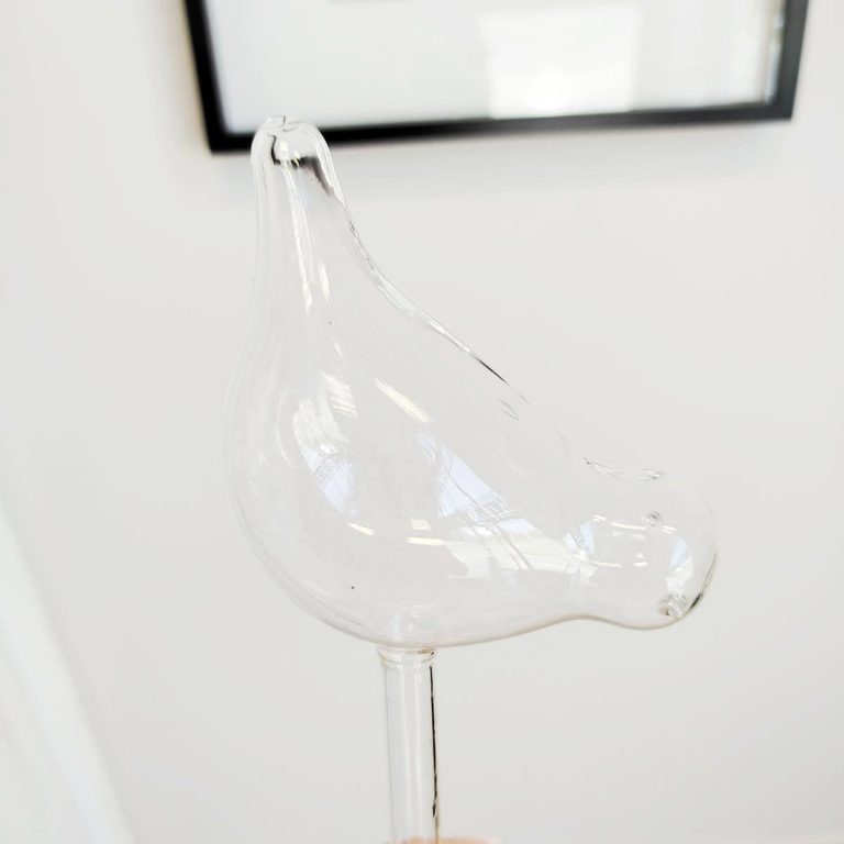 Nawadniacz do roślin szklany ptak