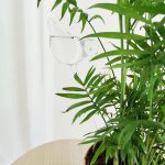 Nawadniacz do roślin szklany ptak