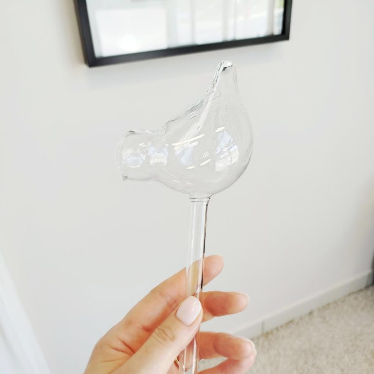 Nawadniacz do roślin szklany ptak