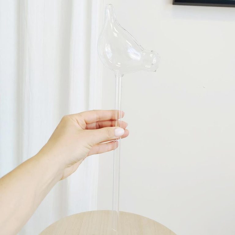 Nawadniacz do roślin szklany ptak