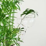 Nawadniacz do roślin szklany ptak