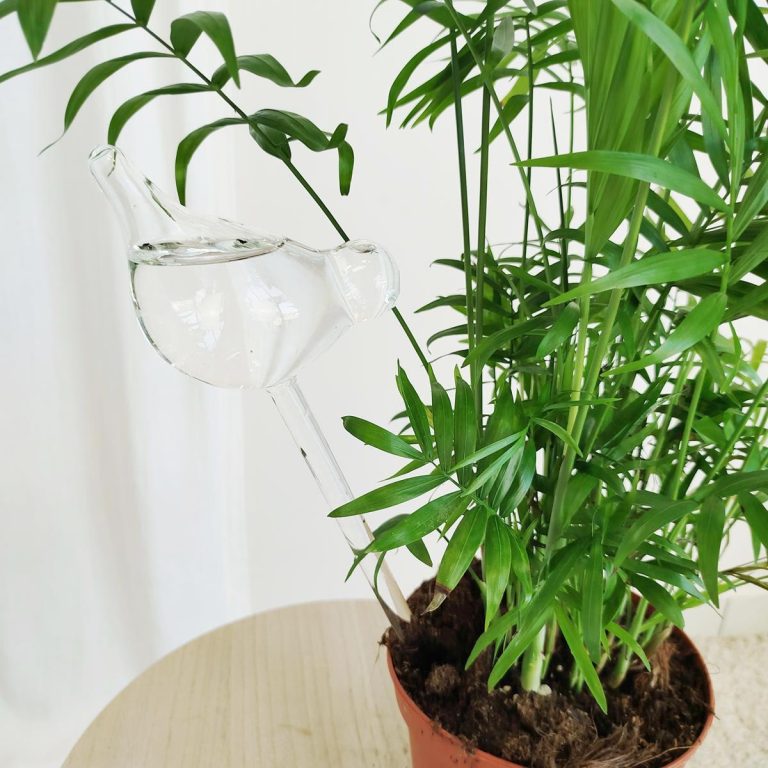 Nawadniacz do roślin szklany ptak