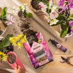 Nawóz Płynny do storczyków Lechuza Orchid Fluid