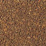 Nawóz długodziałający do upraw warzywnych PERFECT VEGGIE 150g