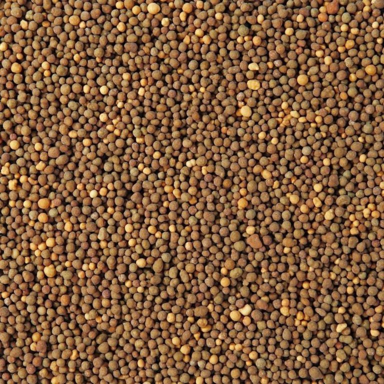 Nawóz długodziałający do upraw warzywnych PERFECT VEGGIE 150g