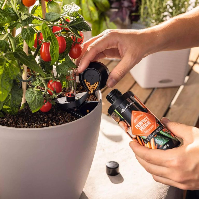 Nawóz długodziałający do upraw warzywnych PERFECT VEGGIE 150g