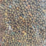 Nawóz długodziałający osmocote uniwersalny  300g