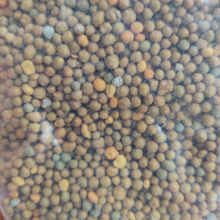 Nawóz długodziałający osmocote uniwersalny  300g