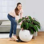 PODSTAWKA NA ROLKACH KÓŁKA DO LECHUZA CLASSICO 50 | QUADRO 50 | CANTO 40 | CUBE 40 | CURSIVO 40