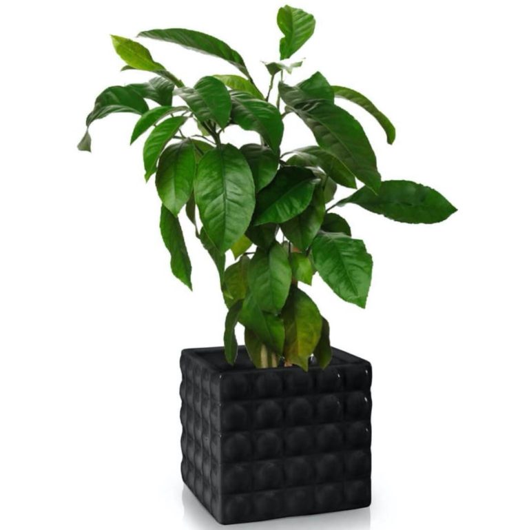 Osłonka ceramiczna Piano czarna 18x15cm