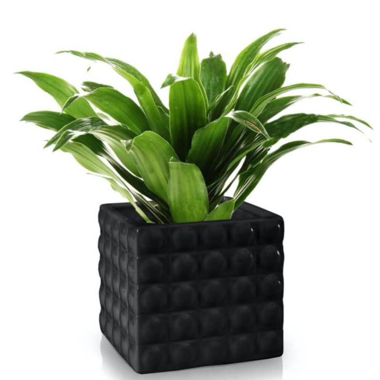 Osłonka ceramiczna Piano czarna 18x15cm