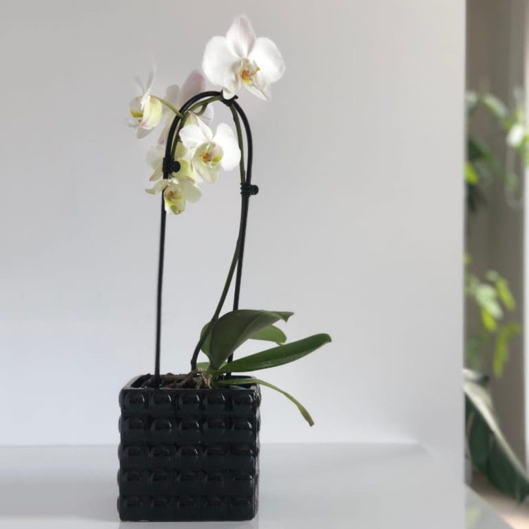 Osłonka ceramiczna Piano czarna 18x15cm