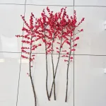 Ostrokrzew czerwony - Ilex żywa gałązka 100cm (Ilex Ve Rode Bes) 1szt.