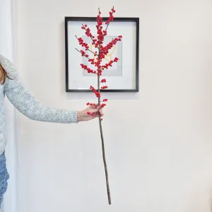 Ostrokrzew czerwony - Ilex żywa gałązka 100cm (Ilex Ve Rode Bes) 1szt.