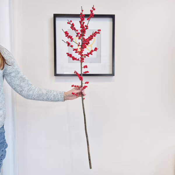 Ostrokrzew czerwony - Ilex żywa gałązka 100cm (Ilex Ve Rode Bes) 1szt.