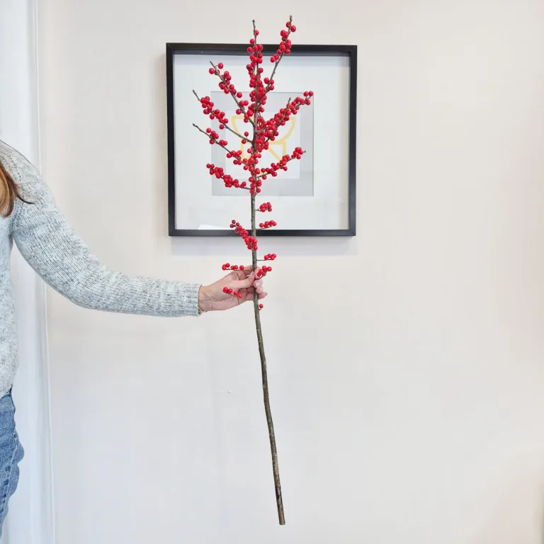 Ostrokrzew czerwony - Ilex żywa gałązka 100cm (Ilex Ve Rode Bes) 1szt.