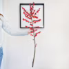 Ostrokrzew czerwony – Ilex żywa gałązka 100cm (Ilex Ve Rode Bes) 1szt.