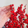 Ostrokrzew czerwony – Ilex żywa gałązka 100cm (Ilex Ve Rode Bes) 1szt.