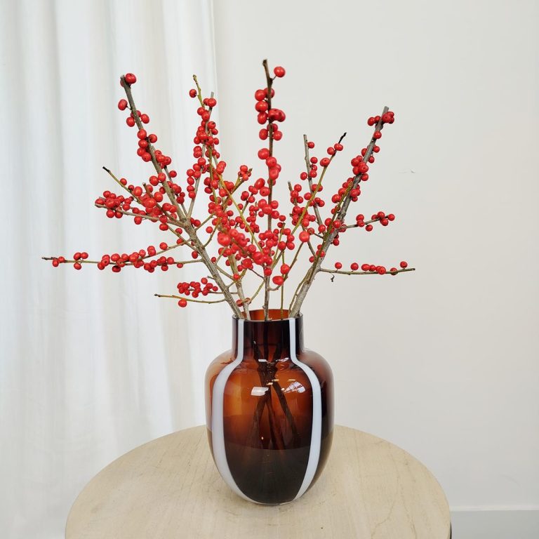 Ostrokrzew czerwony - Ilex żywa gałązka (Ilex Ve Rode Bes) 35cm 1szt.