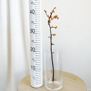 Ostrokrzew żółty- Ilex żywa gałązka (Ilex Ve Gold Verboom) 1szt.