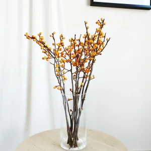 Ostrokrzew żółty- Ilex żywa gałązka (Ilex Ve Gold Verboom) 1szt.