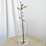 Ostrokrzew żółty- Ilex żywa gałązka (Ilex Ve Gold Verboom) 1szt.