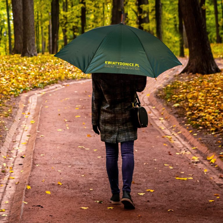 PARASOL AUTOMATYCZNY PROSTY DUŻY ROZKŁADANY